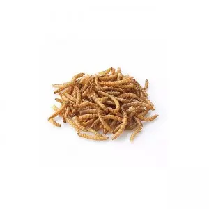 Dpat Queen Natural Dried Mealworms 283g