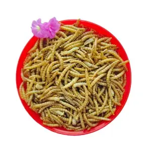 Quick drying yellow mealworms provide fast and simple protein sources for animals