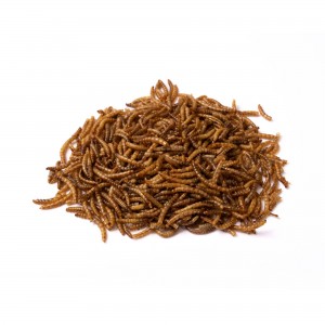 Quick drying yellow mealworms provide fast and simple protein sources for animals